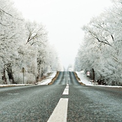 Jigsaw puzzle: Road to winter