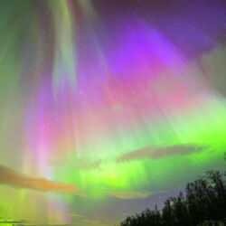 Jigsaw puzzle: Northern Lights