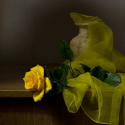 Jigsaw puzzle: Yellow rose