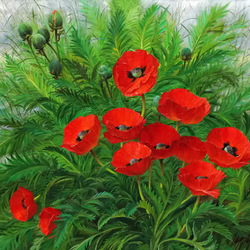Jigsaw puzzle: Scarlet poppies