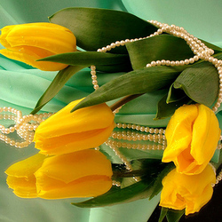 Jigsaw puzzle: Tulips and pearls