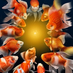 Jigsaw puzzle: Goldfish