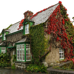 Jigsaw puzzle: House in Ireland