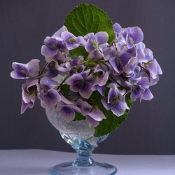 Jigsaw puzzle: Spring in a glass