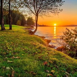 Jigsaw puzzle: Sunset in nature