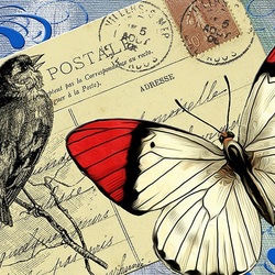 Jigsaw puzzle: Letter, bird, butterfly