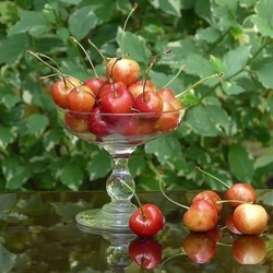 Jigsaw puzzle: Delicious sweet cherry