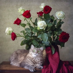 Jigsaw puzzle: Cat Masyanya and a bouquet of roses