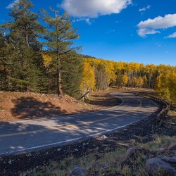 Jigsaw puzzle: Road bend