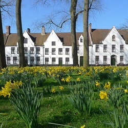 Jigsaw puzzle: Spring in Bruges