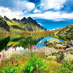 Jigsaw puzzle: Pond in the Tatras