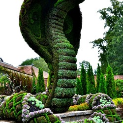 Jigsaw puzzle: Topiary art
