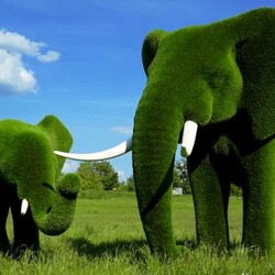 Jigsaw puzzle: Topiary art