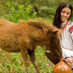 Jigsaw puzzle: Girl and pony