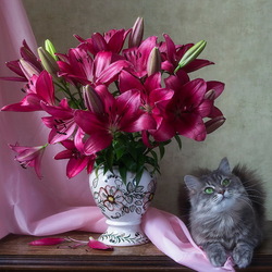 Jigsaw puzzle: Masyanya the cat and a bouquet of lilies