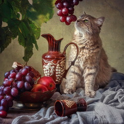 Jigsaw puzzle: Cat Masyanya and grapes