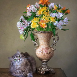 Jigsaw puzzle: Cat Masyanya and a bouquet of alstroemeria