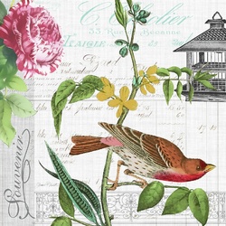 Jigsaw puzzle: Vintage drawing. Birds