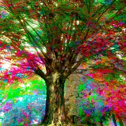 Jigsaw puzzle: Colored tree
