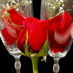 Jigsaw puzzle: Roses in a glass