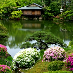 Jigsaw puzzle: Japanese bonsai garden