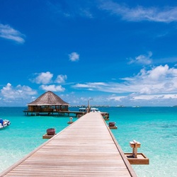 Jigsaw puzzle: Pier in the tropics