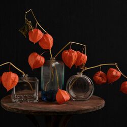 Jigsaw puzzle: Still life with physalis