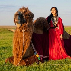 Jigsaw puzzle: Kalmyk woman in the steppe