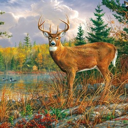 Jigsaw puzzle: Noble deer