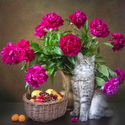 Jigsaw puzzle:  Masyanya and a bouquet of peonies