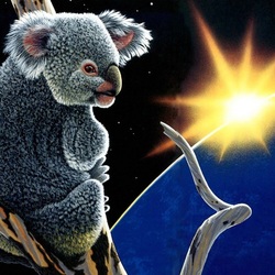 Jigsaw puzzle: Koala