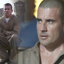 Jigsaw puzzle: Lincoln Burrows