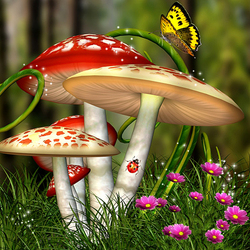 Jigsaw puzzle: Magical forest