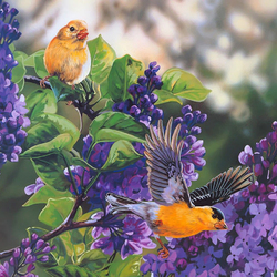 Jigsaw puzzle: In the lilac thickets