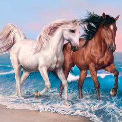 Jigsaw puzzle: Horses running on water