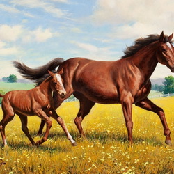 Jigsaw puzzle: Horse with foal
