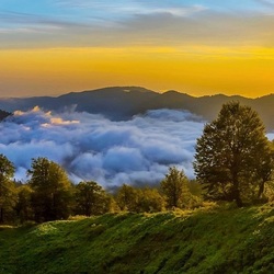 Jigsaw puzzle: Fog in a mountain valley