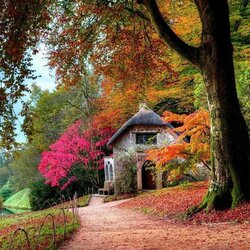Jigsaw puzzle: Cottage in autumn