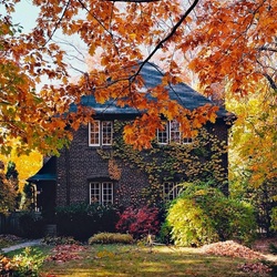 Jigsaw puzzle: Cottage in autumn