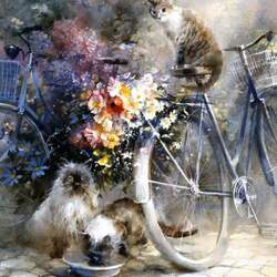 Jigsaw puzzle: Cats and bicycles