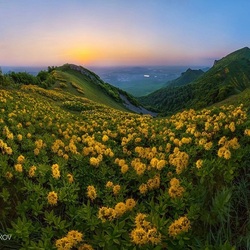 Jigsaw puzzle: Blooming mountains at sunset