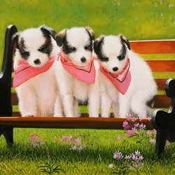 Jigsaw puzzle: Dogs