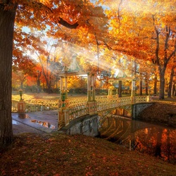 Jigsaw puzzle: Autumn in Tsarskoe Selo