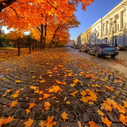 Jigsaw puzzle: Petersburg golden autumn