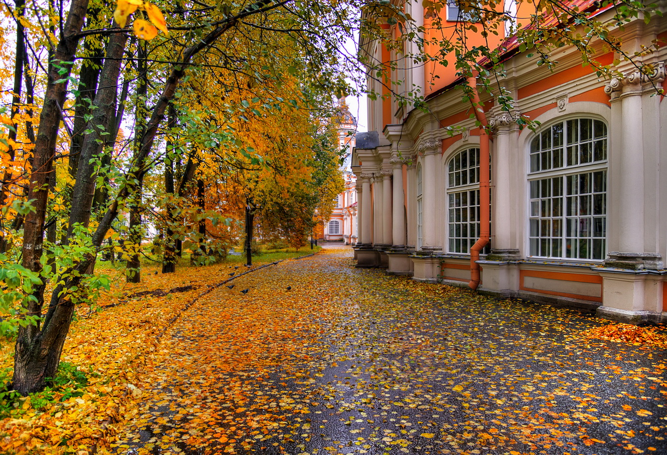 Осенний петербург. Александро Невская Лавра Санкт-Петербург осень. Осень парк Александро Невская Лавра. Осень Питер Невский. Улица Чайковского Санкт-Петербург осень.