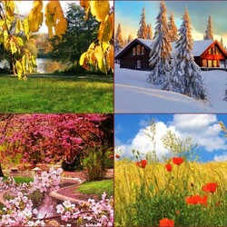 Jigsaw puzzle: Changing seasons