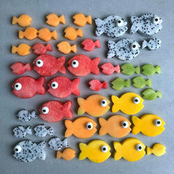 Jigsaw puzzle: Fishes
