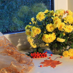 Jigsaw puzzle: How wonderful chrysanthemum autumn smells