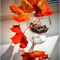 Jigsaw puzzle: Leaves in a glass