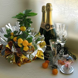 Jigsaw puzzle: Mandarins and champagne